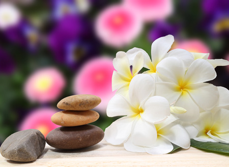 zen fleur Zen concept de spa fond , pierres de massage zen avec frangipanier plumeria